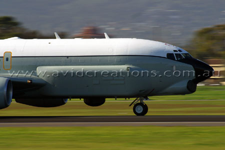 Roaring along the Runway