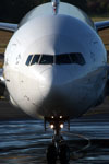 Nose On