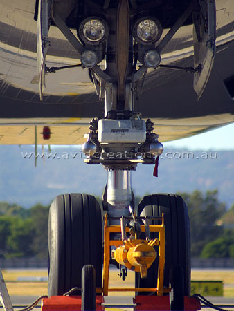 Nose Wheel