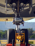 Nose Wheel