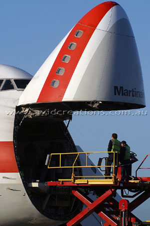 Unloading White Rhino from South Africa.