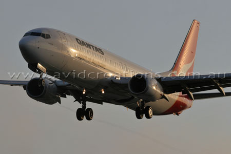 Morning Arrival