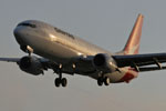 Morning Arrival