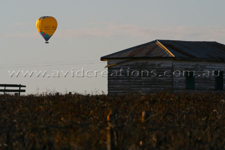 Across the vineyards