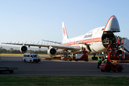 White Rhino being delivered from South Africa.