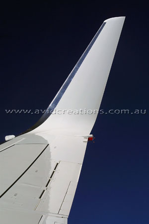 Blue sky winglet.