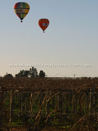 Over the Vineyards