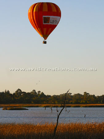 River Murray Flight